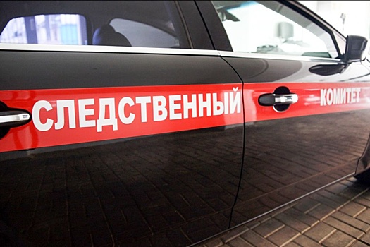СК проверит обстоятельства гибели создателя организации "Ростов без наркотиков"