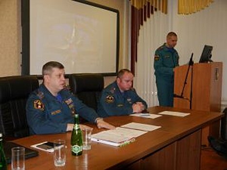 В 2017 году пожарные и спасатели новой Москвы спасли на пожарах 43 человека