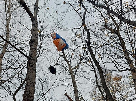 Нижегородский парапланерист врезался в дерево в парке «Швейцария»