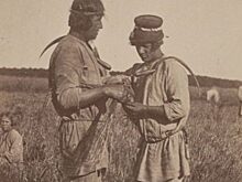 «Тянуть кота за хвост»: как возникло это выражение