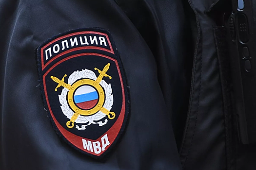 Житель Благовещенска напал на магазин с игрушечным пистолетом