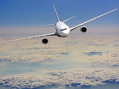 Самолет Сочи – Петербург вынужденно сядет в Москве