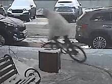 Приезжий украл велосипед из подъезда дома в центре Москвы