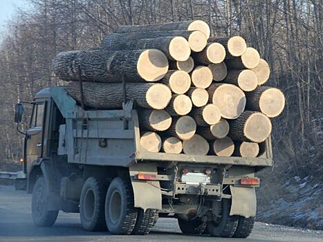 Минвостокразвития предупредило дальневосточных лесопромышленников
