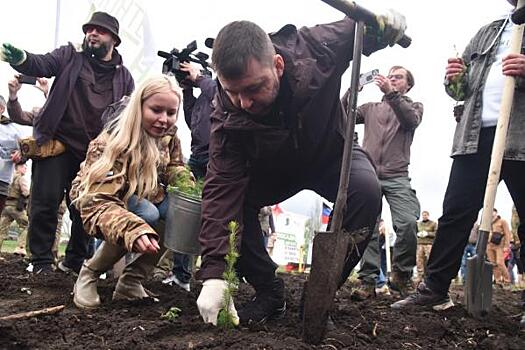 В ДНР высадили более тысячи деревьев в честь защитников Донбасса