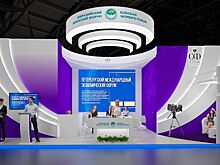 Коллективный стенд "Большая Сибирь" представит на ПМЭФ 232 инвестпроекта