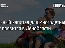 Земельный капитал для многодетных может появится в Ленобласти
