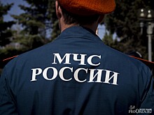 В Новотроицке спасатели пришли на помощь мальчику, забравшемуся за мячом на дерево