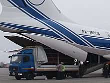 Перевести носорога на самолёте? Легко! Дайте сразу двух.