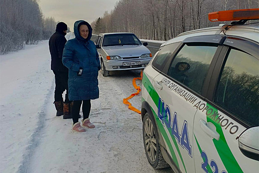 Замерзающих сибиряков спасли из сломанной машины под Новосибирском