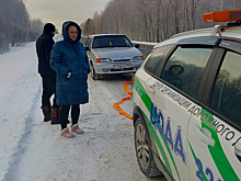Замерзающих сибиряков спасли из сломанной машины под Новосибирском