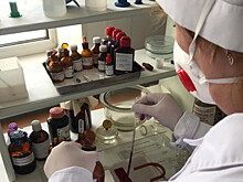 Студентов‑ветеринаров пригласят на практику на с/х предприятия в Подмосковье