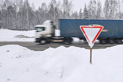 В России попросили разрешить мигрантам работать дальнобойщиками