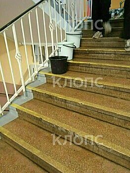 В калининградской школе решили проблему, из-за которой на лестницах стояли вёдра