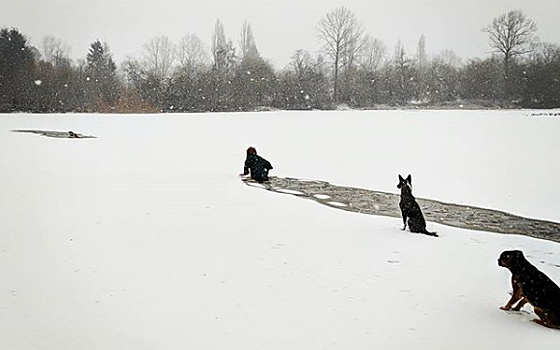 Девушка бросилась в ледяную воду за собакой