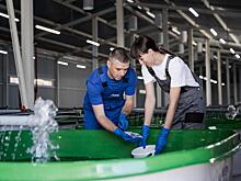 В Енисей выпустили молодь краснокнижных осетров