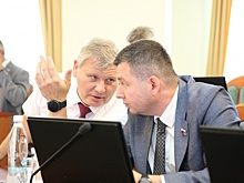 Депутаты ЗСНО обсудили исполнение областного бюджета за 2024 год