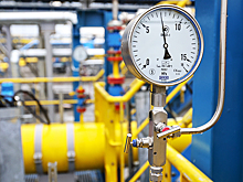 «Катастрофические последствия»: в Австрии выступили против отказа от газа из РФ