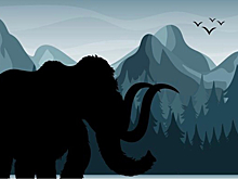 Выжившие мамонты в дебрях Сибири: легенды живут, и люди ищут ответы