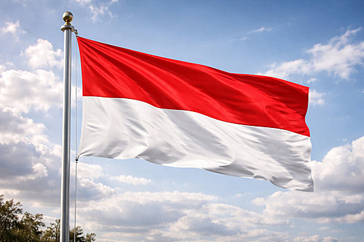 Скандальная порнозвезда избежала тюрьмы в азиатской стране после рейда полиции