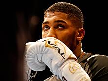 В ДТП с экс-чемпионом мира по боксу Джошуа погибли два человека