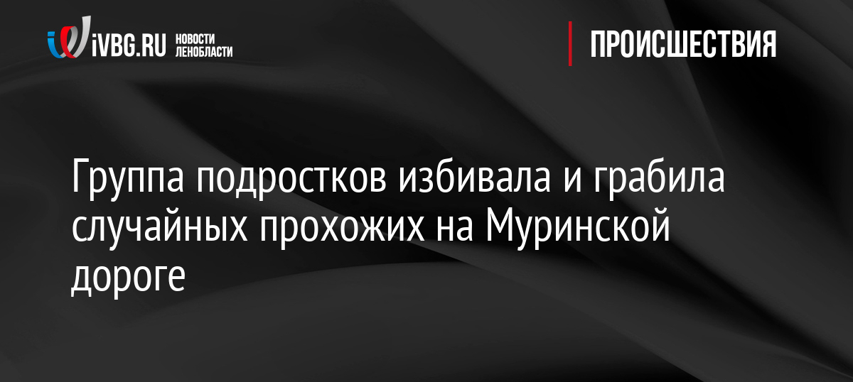 Группа подростков избивала и грабила случайных прохожих на Муринской дороге