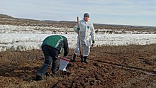 В Челябинской области арендатор участка наказан за загрязнение земли