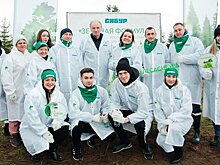 Элитный сеянец Вересина: в Нижнекамске впервые высадили тополя без пуха