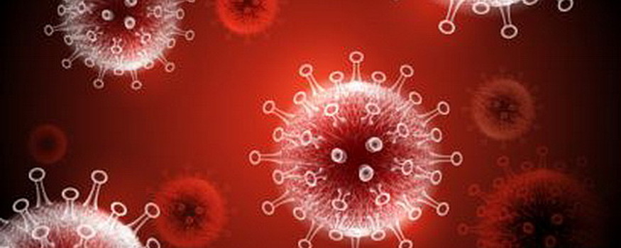 В Новосибирской области выявили еще 50 случаев коронавируса