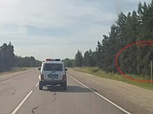 «Синие ведёрки» обвинили воронежских сотрудников ГИБДД в «подставе» с пакетом на знаке