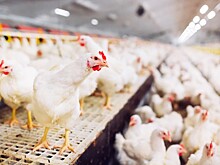 Ростовские предприятия «Дамате» перечислили более 1,7 млрд рублей в бюджеты всех уровней за 2024 год