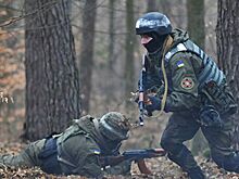 В Германии объяснили, почему вступление Украины в НАТО обречено на провал