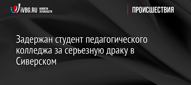 Задержан студент педагогического колледжа за серьезную драку в Сиверском