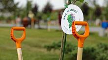 Миллионное дерево в рамках акции «Сад памяти» высадили в Северной Осетии