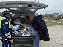 Легальность происхождения чёрной икры, перевозимой туристом из Москвы, устанавливает полиция Астрахани