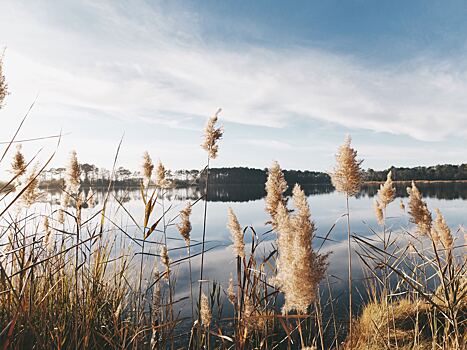 Российские ученые объяснили повышение токсичности озер весной