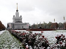 Рейсовые автобусы по ВДНХ будут ходить каждые 5 минут
