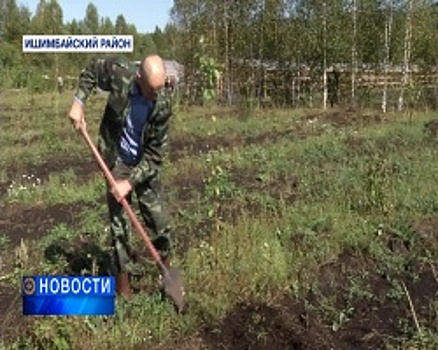 На территории Макаровского лесничества прошла Всероссийская акция «Живи, лес!»