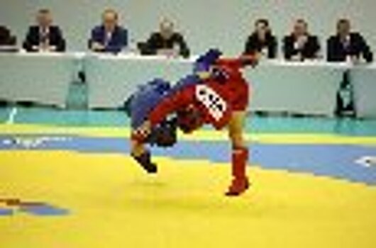 Команда ФСИН России одержала победу во Всероссийском кубке директора Федеральной службы исполнения наказаний по самбо