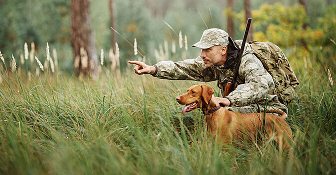Комитет ветеринарии напоминает о необходимости вакцинации собак перед выездом на охоту