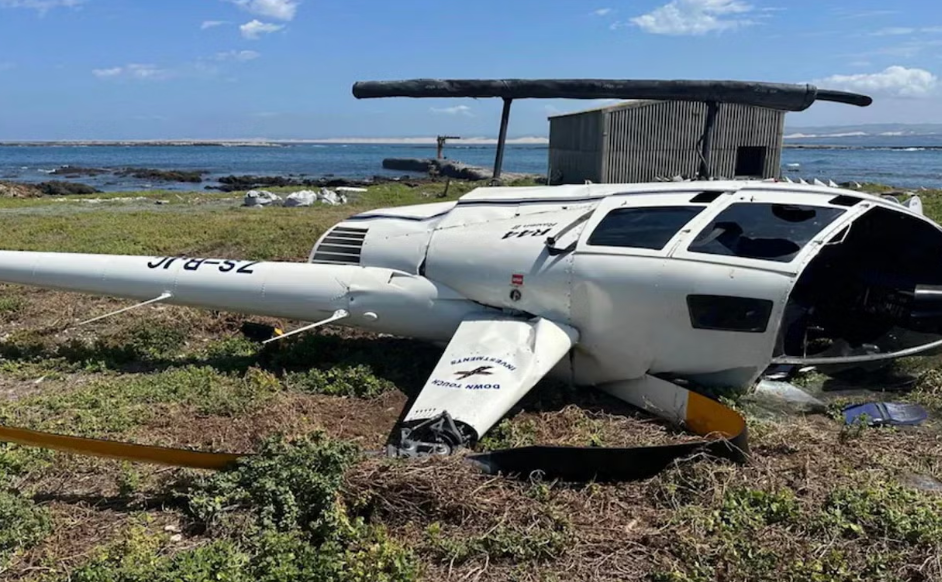 Пингвина в картонной коробке обвинили в крушении вертолета в ЮАР