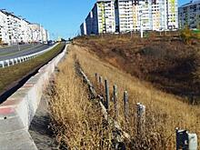 Мэр Маслов:«Тротуар на проспекте Плевицкой в отвратительном состоянии»