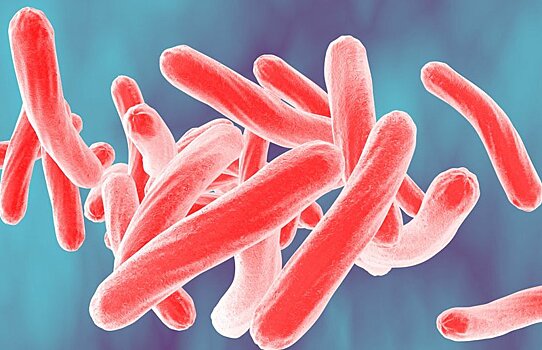 Разработан новый метод диагностики туберкулеза