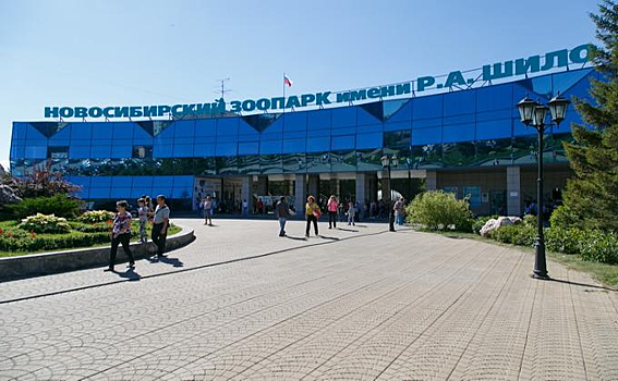 День рождения Новосибирского зоопарка-2017: программа