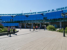 День рождения Новосибирского зоопарка-2017: программа