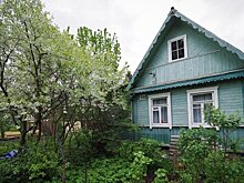 Депутат Чаплин: продажа излишек урожая поможет заработать на дачном участке