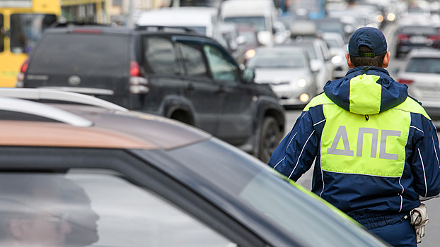 Суд оставил в силе приговор водителю Infiniti с фейковыми номерами