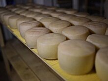 Пять лет эмбарго. Полет нормальный
