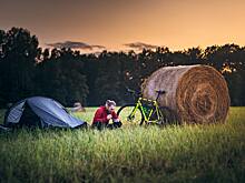 Эксперт рассказал, как избавиться от комаров на даче