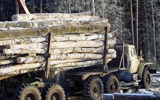 «Черные лесорубы» нанесли Среднему Уралу ущерб на 24 миллиона